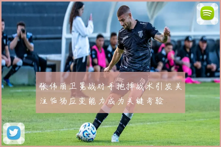 张伟丽卫冕战对手抱摔战术引发关注临场应变能力成为关键考验